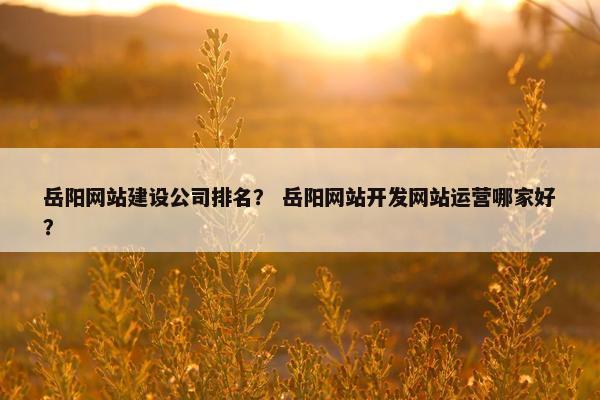 岳阳网站建设公司排名？ 岳阳网站开发网站运营哪家好？