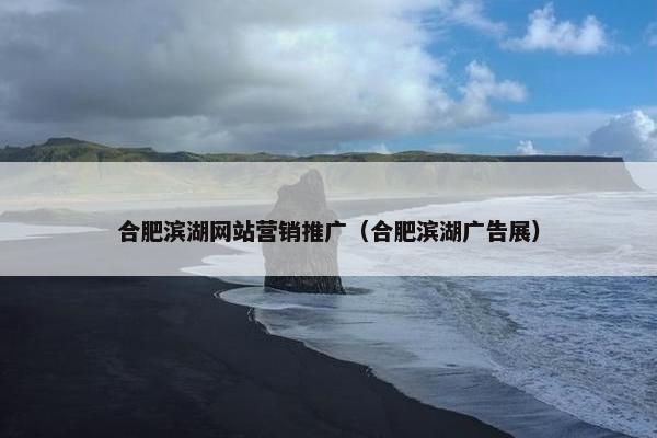 合肥滨湖网站营销推广（合肥滨湖广告展）