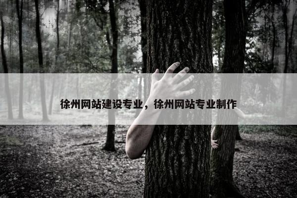 徐州网站建设专业，徐州网站专业制作