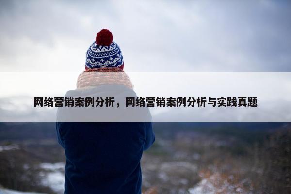 网络营销案例分析，网络营销案例分析与实践真题