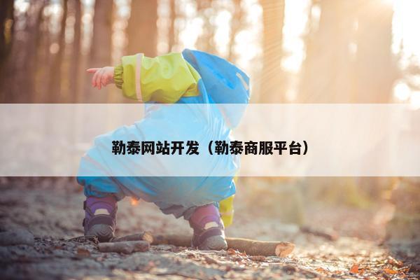 勒泰网站开发（勒泰商服平台）