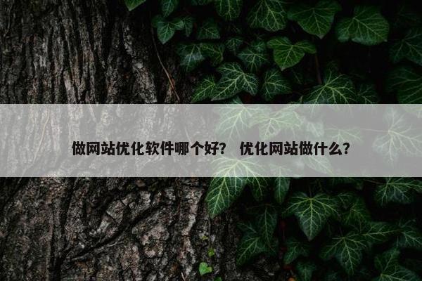做网站优化软件哪个好？ 优化网站做什么？