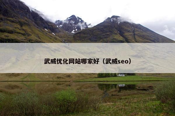 武威优化网站哪家好（武威seo）