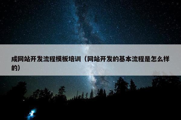成网站开发流程模板培训（网站开发的基本流程是怎么样的）