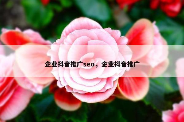 企业抖音推广seo，企业抖音推广