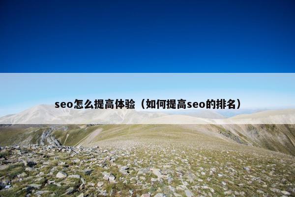 seo怎么提高体验（如何提高seo的排名）