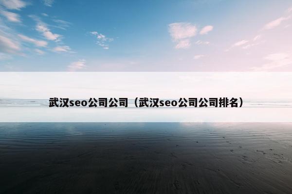 武汉seo公司公司（武汉seo公司公司排名）