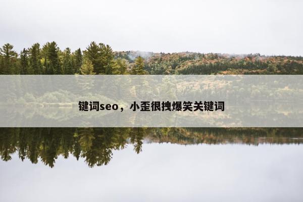 键词seo，小歪很拽爆笑关键词