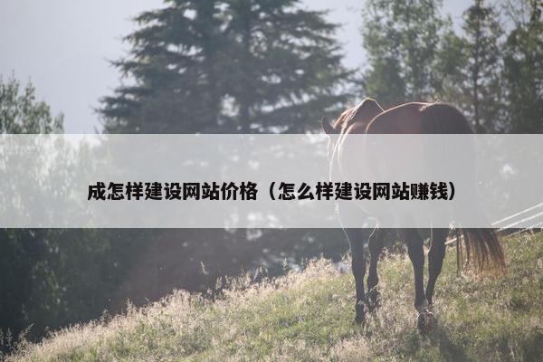 成怎样建设网站价格（怎么样建设网站赚钱）