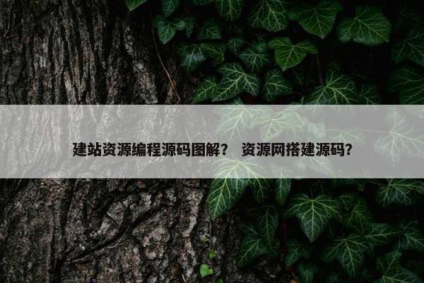 建站资源编程源码图解？ 资源网搭建源码？
