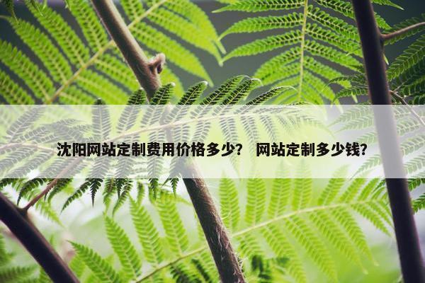 沈阳网站定制费用价格多少？ 网站定制多少钱？