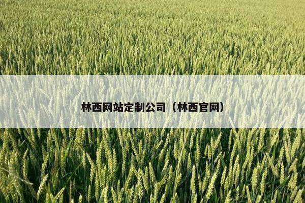 林西网站定制公司（林西官网）