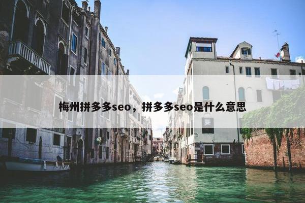 梅州拼多多seo，拼多多seo是什么意思