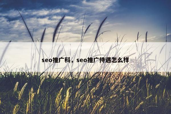 seo推广科，seo推广待遇怎么样