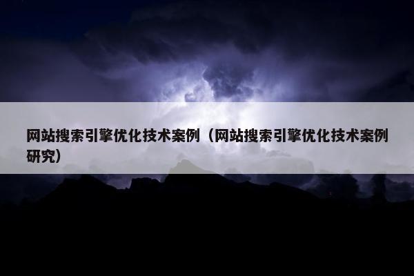 网站搜索引擎优化技术案例（网站搜索引擎优化技术案例研究）