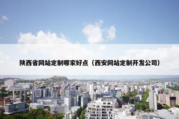 陕西省网站定制哪家好点（西安网站定制开发公司）
