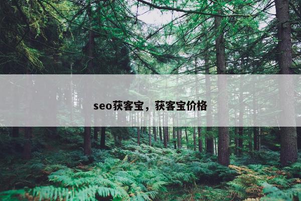 seo获客宝，获客宝价格