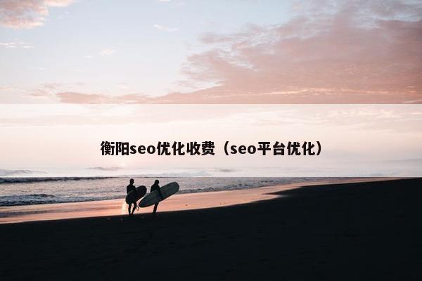 衡阳seo优化收费（seo平台优化）