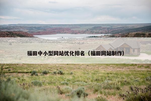 福田中小型网站优化排名（福田网站制作）
