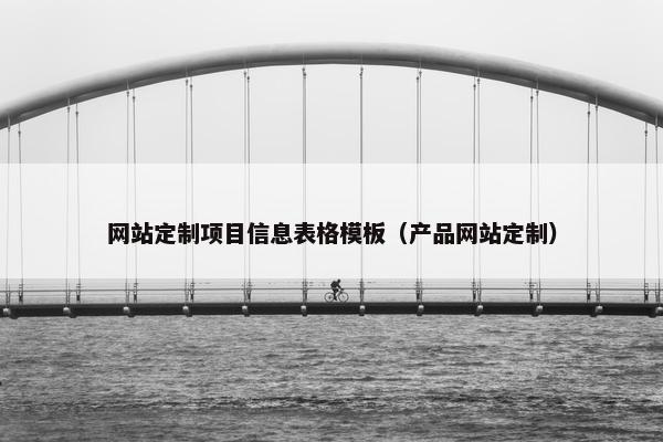网站定制项目信息表格模板（产品网站定制）