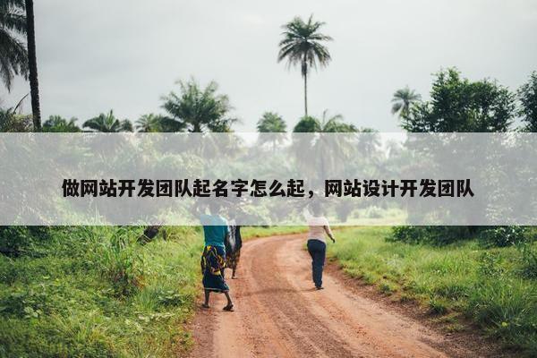 做网站开发团队起名字怎么起，网站设计开发团队