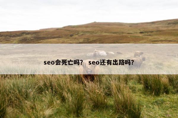seo会死亡吗？ seo还有出路吗？