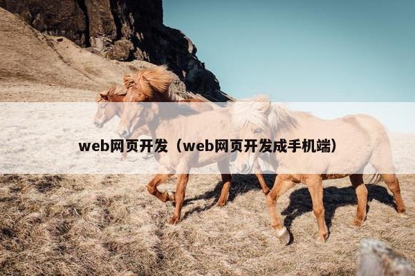 web网页开发（web网页开发成手机端）