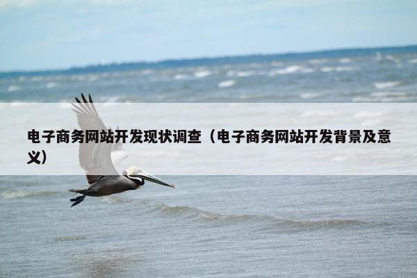 电子商务网站开发现状调查（电子商务网站开发背景及意义）