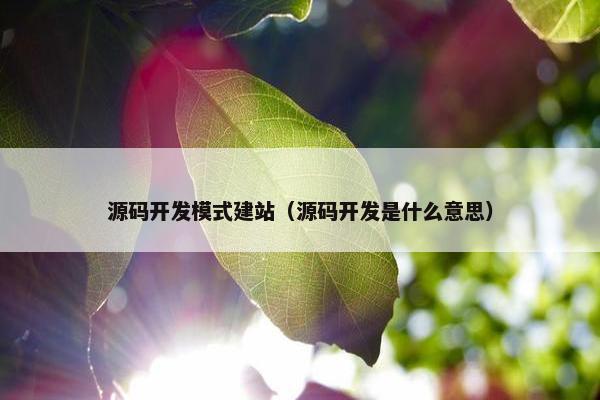 源码开发模式建站（源码开发是什么意思）