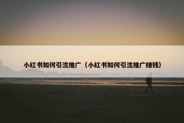 小红书如何引流推广（小红书如何引流推广赚钱）