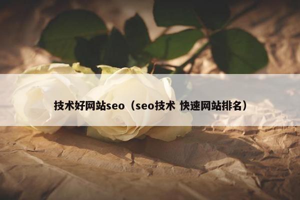 技术好网站seo（seo技术 快速网站排名）