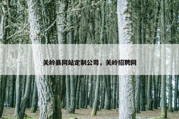 关岭县网站定制公司，关岭招聘网