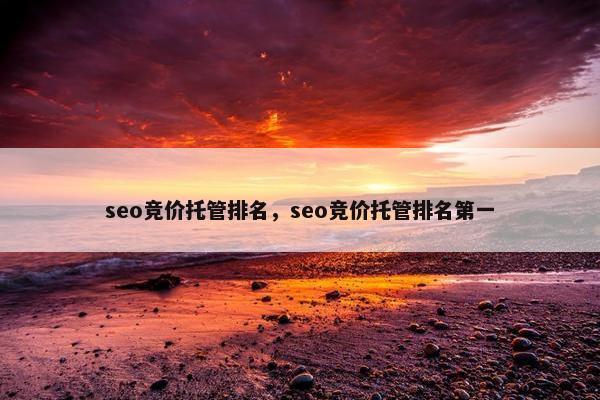 seo竞价托管排名，seo竞价托管排名第一