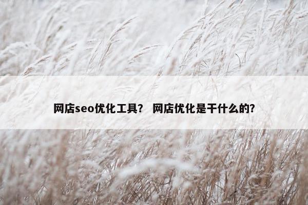 网店seo优化工具？ 网店优化是干什么的？
