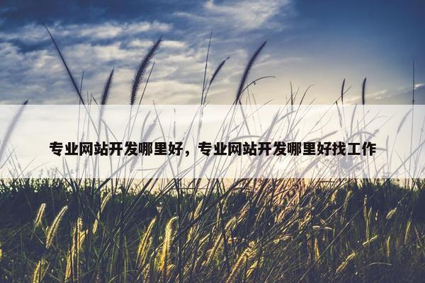 专业网站开发哪里好，专业网站开发哪里好找工作