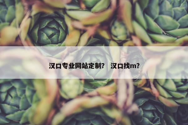 汉口专业网站定制？ 汉口找m？