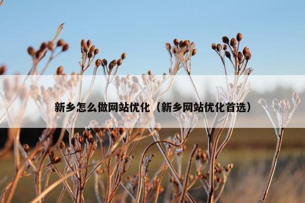 新乡怎么做网站优化（新乡网站优化首选）
