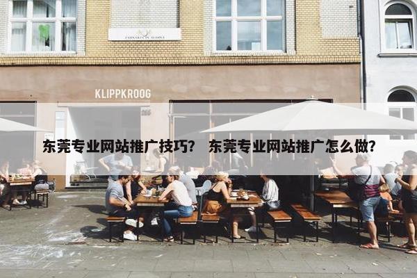 东莞专业网站推广技巧？ 东莞专业网站推广怎么做？