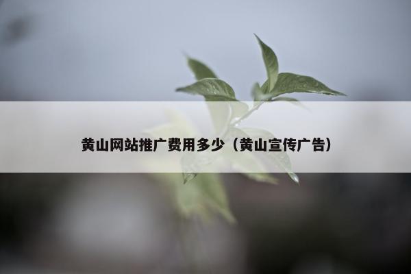 黄山网站推广费用多少（黄山宣传广告）