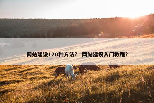 网站建设120种方法？ 网站建设入门教程？