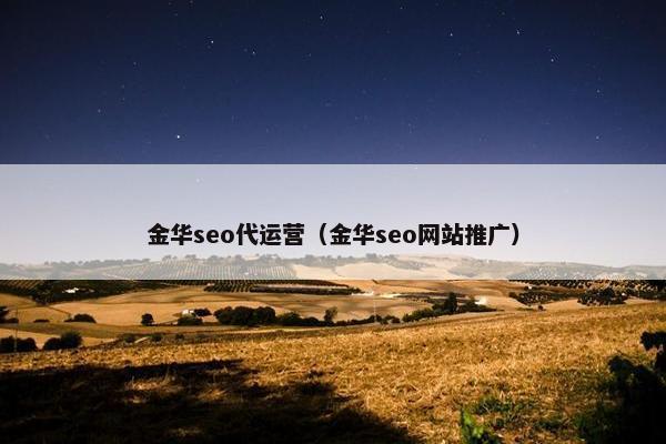 金华seo代运营（金华seo网站推广）