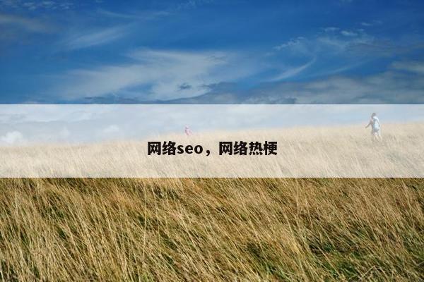 网络seo，网络热梗