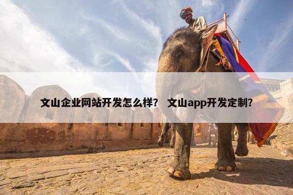文山企业网站开发怎么样？ 文山app开发定制？