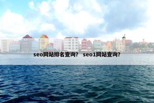 seo网站排名查询？ seo1网站查询？