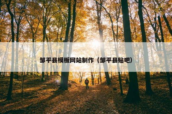 邹平县模板网站制作（邹平县贴吧）