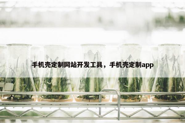 手机壳定制网站开发工具，手机壳定制app