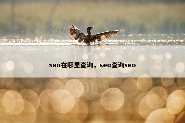 seo在哪里查询，seo查询seo