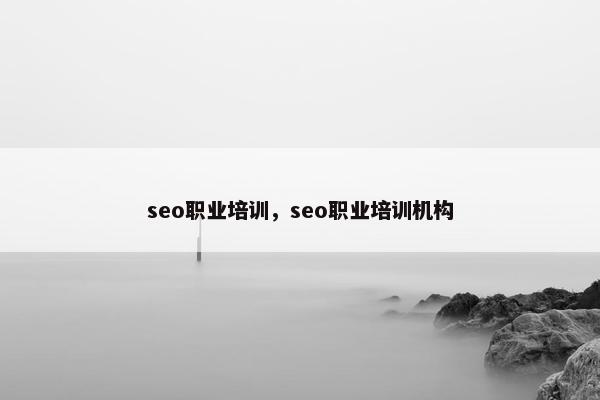 seo职业培训，seo职业培训机构