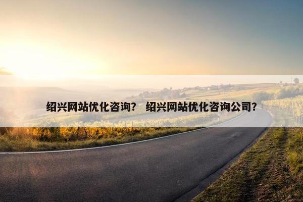 绍兴网站优化咨询？ 绍兴网站优化咨询公司？