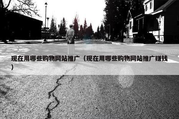 现在用哪些购物网站推广（现在用哪些购物网站推广赚钱）